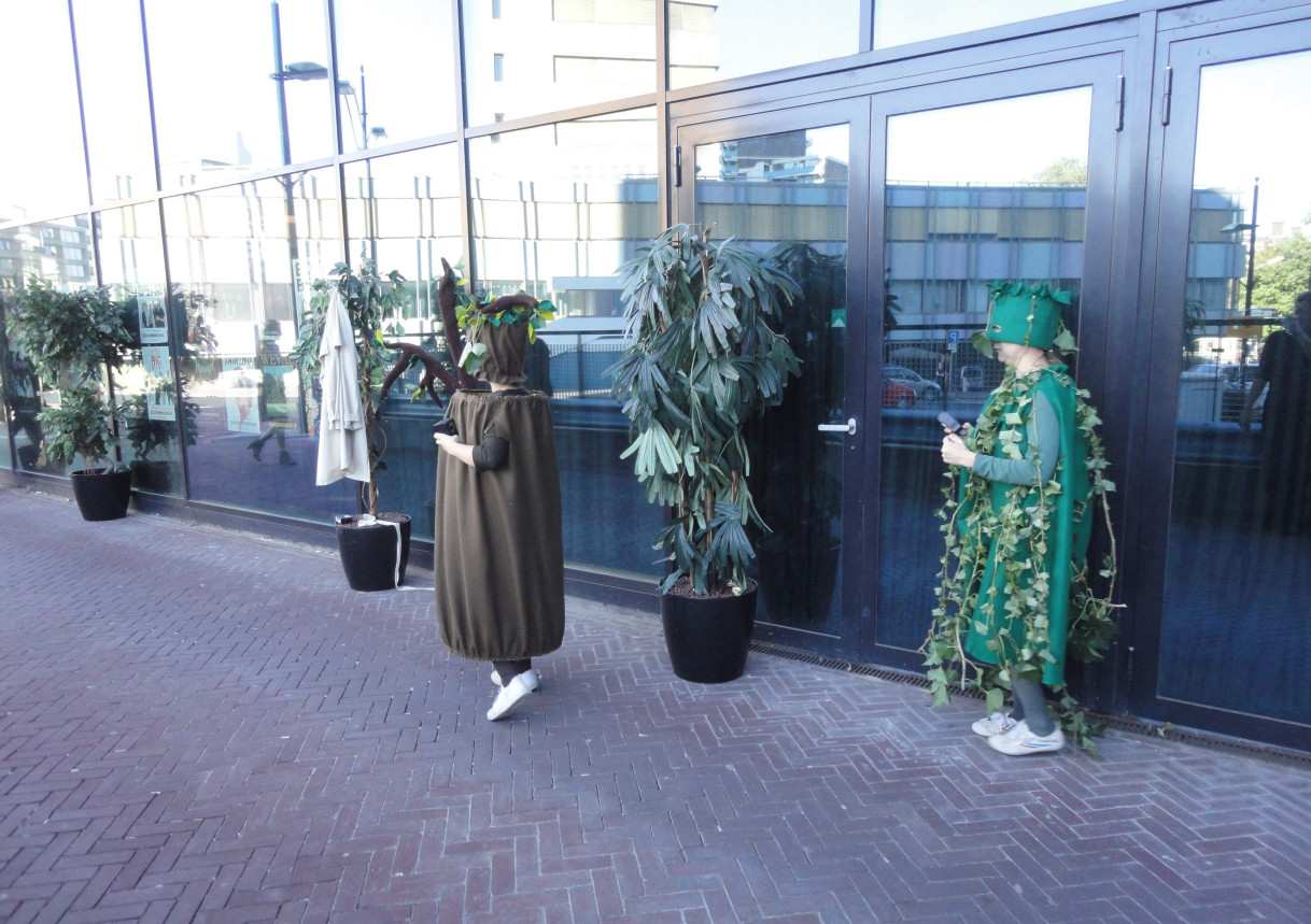 Boom en struik
